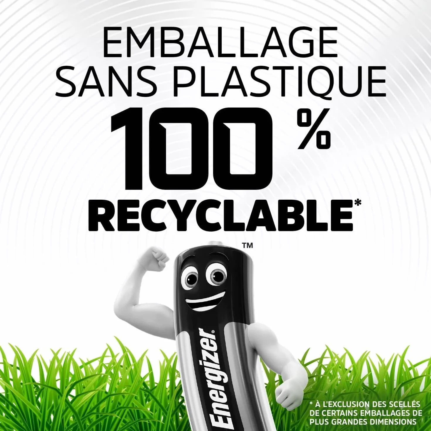 Energizer Alkaline Power - Piles AA (Lot de 24) - Alcaline 1,5V - Énergie Longue durée - Idéales pour Les appareils du Quotidien - Emballage 100% Recyclable - Conservation 7 Ans [Exclusivité Amazon]